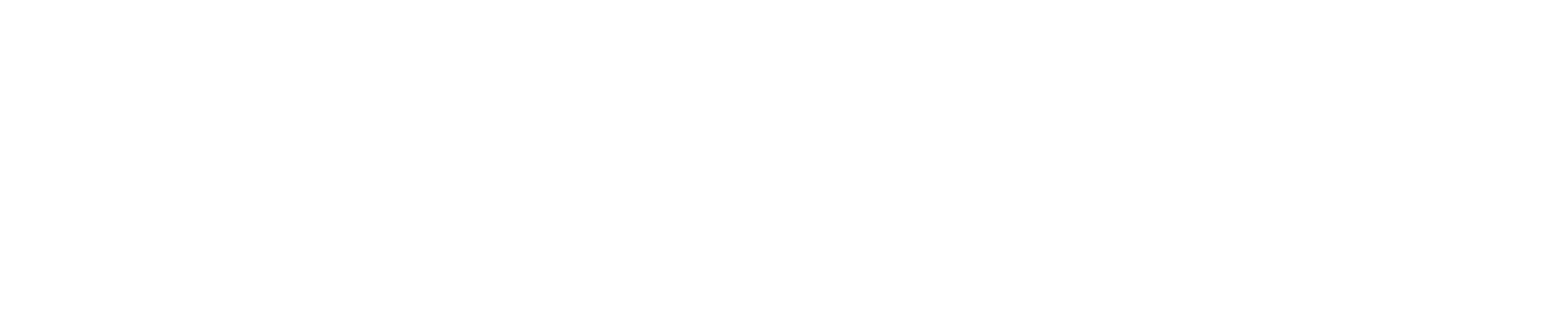 White Logo All Pro Real Estate Investors